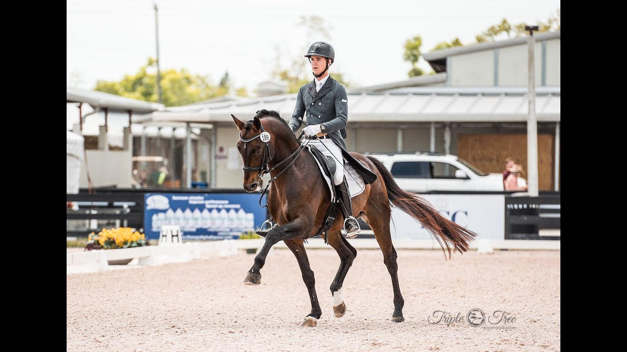 Leif Aho & Classy Sinclair Intermediare-1 75% 1st place