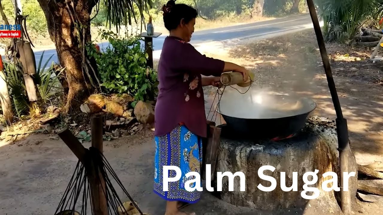 The Making of Cambodian Palm Sugar From Start to End #travel #food #palmsugar #battambang #khmer