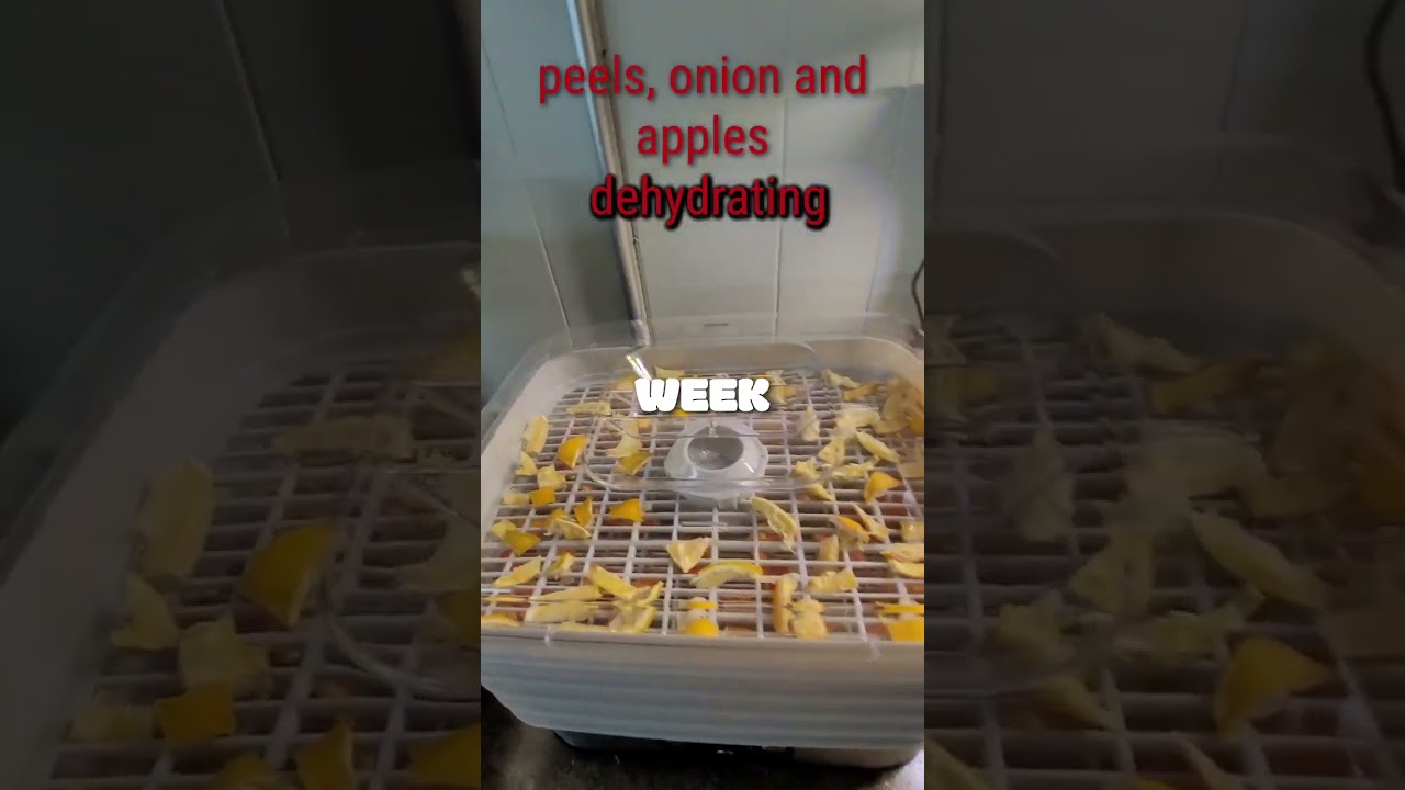 THIS WEEK AT TINYFARM
