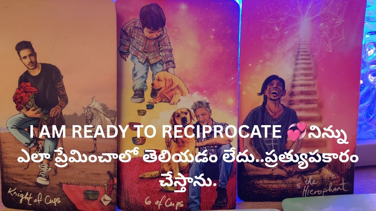 I AM READY TO RECIPROCATE 💞నిన్ను ఎలా ప్రేమించాలో తెలియడం లేదు ❤️ Tarot reading.9948424222