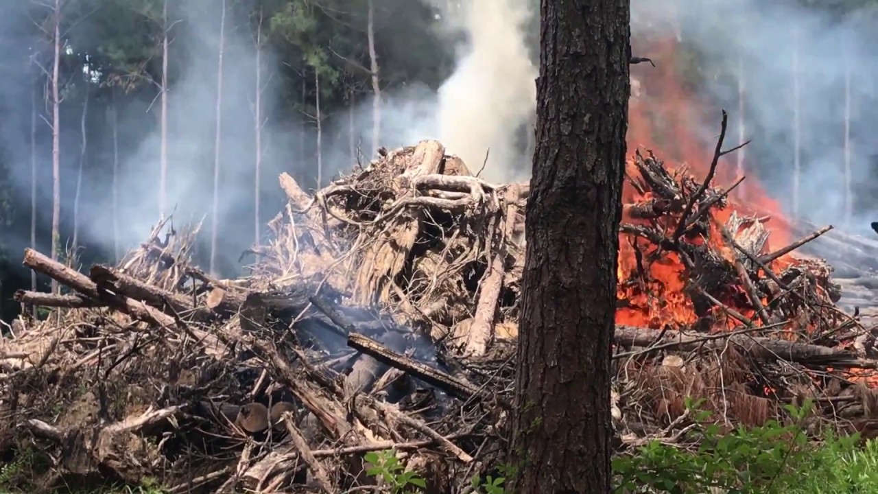 Lighting HUGE Burn Piles