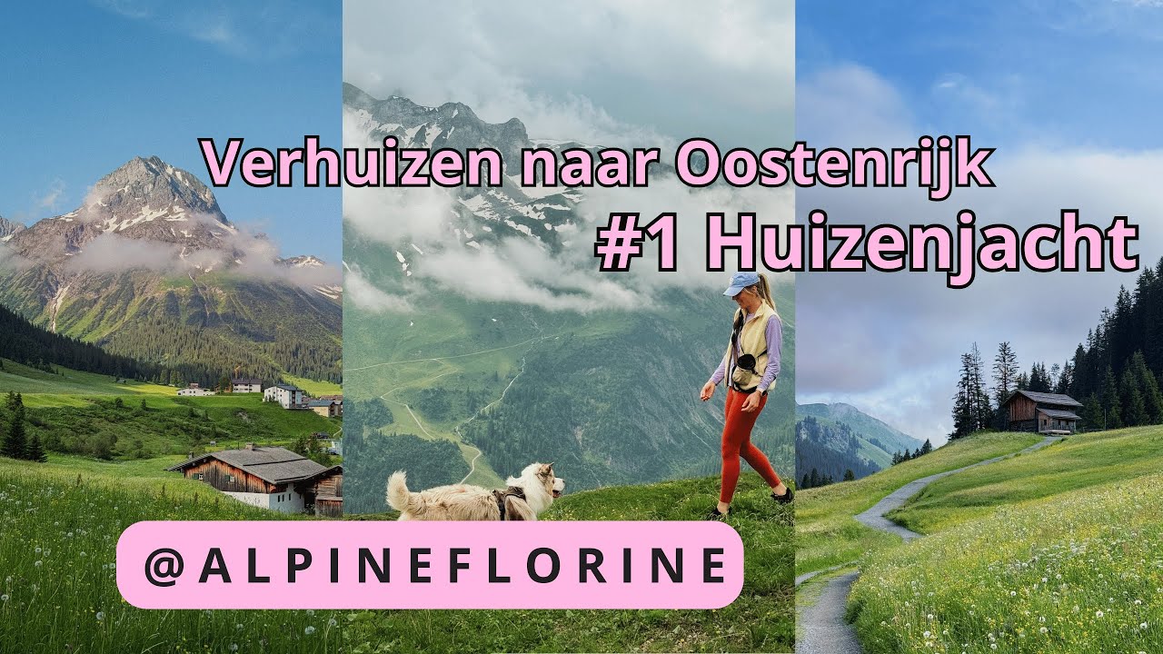 Verhuizen naar Oostenrijk + alles wat je moet weten over een huis zoeken en wonen in Oostenrijk!