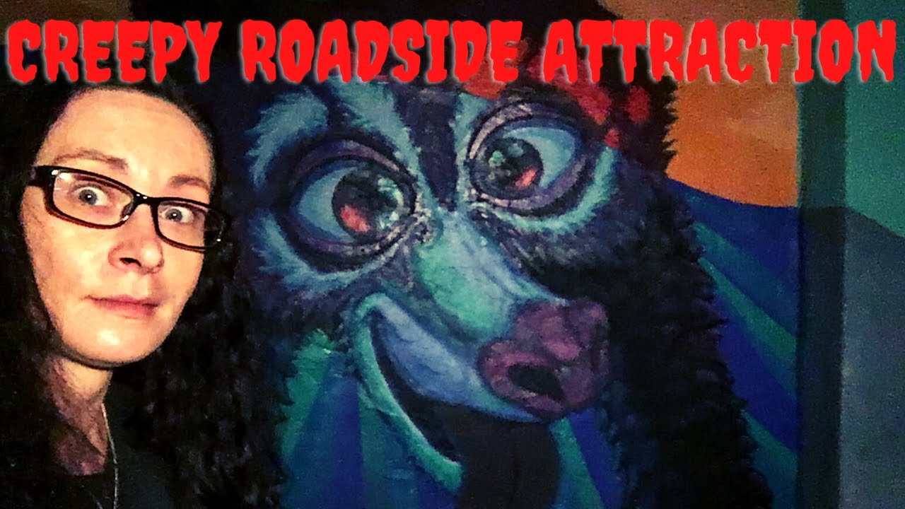 BOYETTS GROVE CITRUS ROADSIDE ATTRACTION (SUPER COOL BUT CREEPY PLACE)