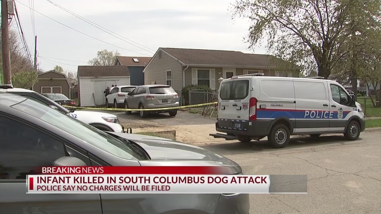 Baby attacked, killed by family dog in south Columbus