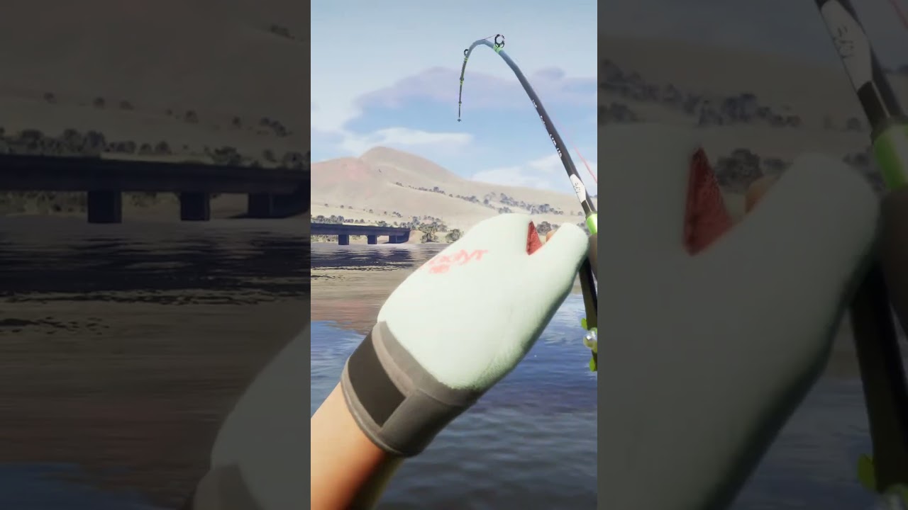 Mamlambo Catch Guide! COTW The Angler