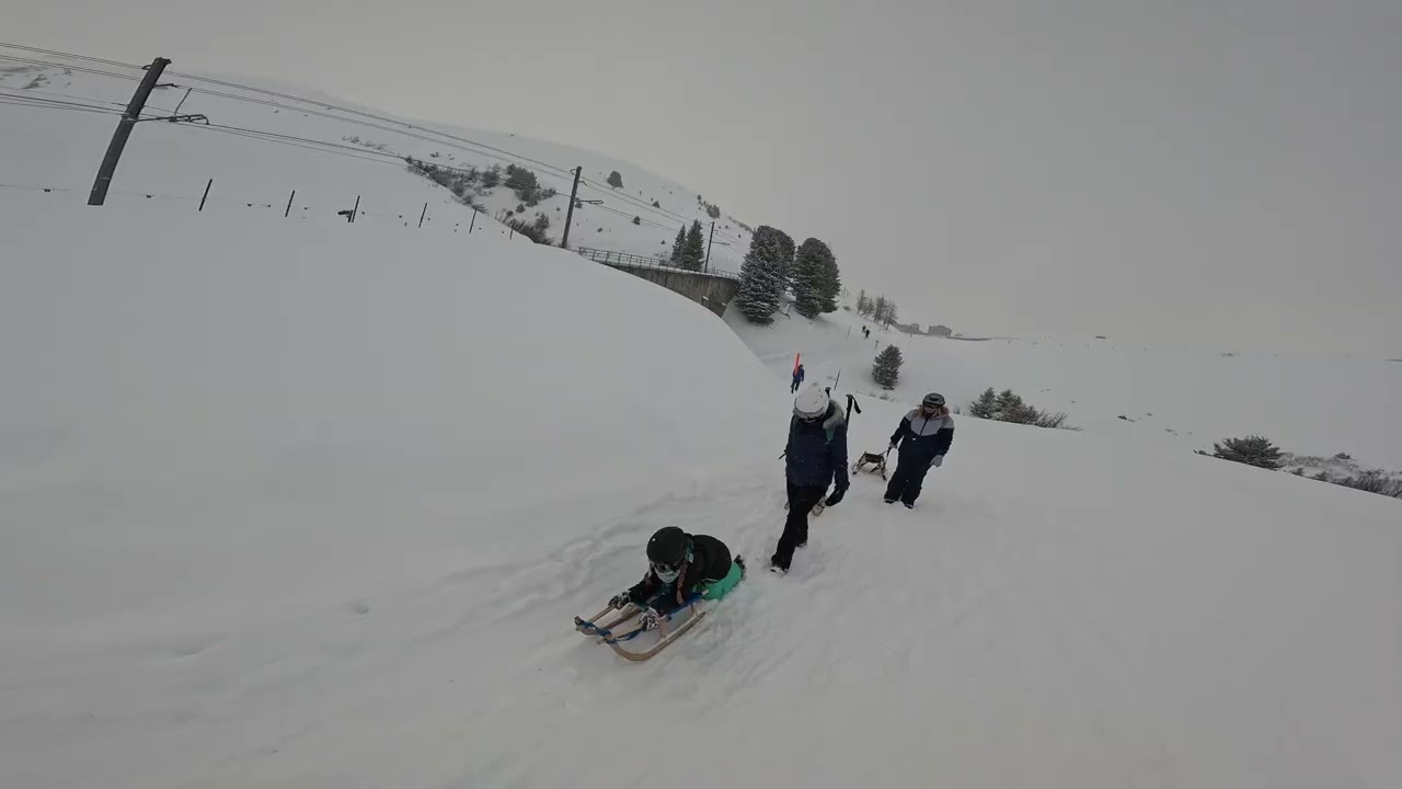 Top half from kleine Scheidegg too Wengenalp sledging in the jungfrau region!