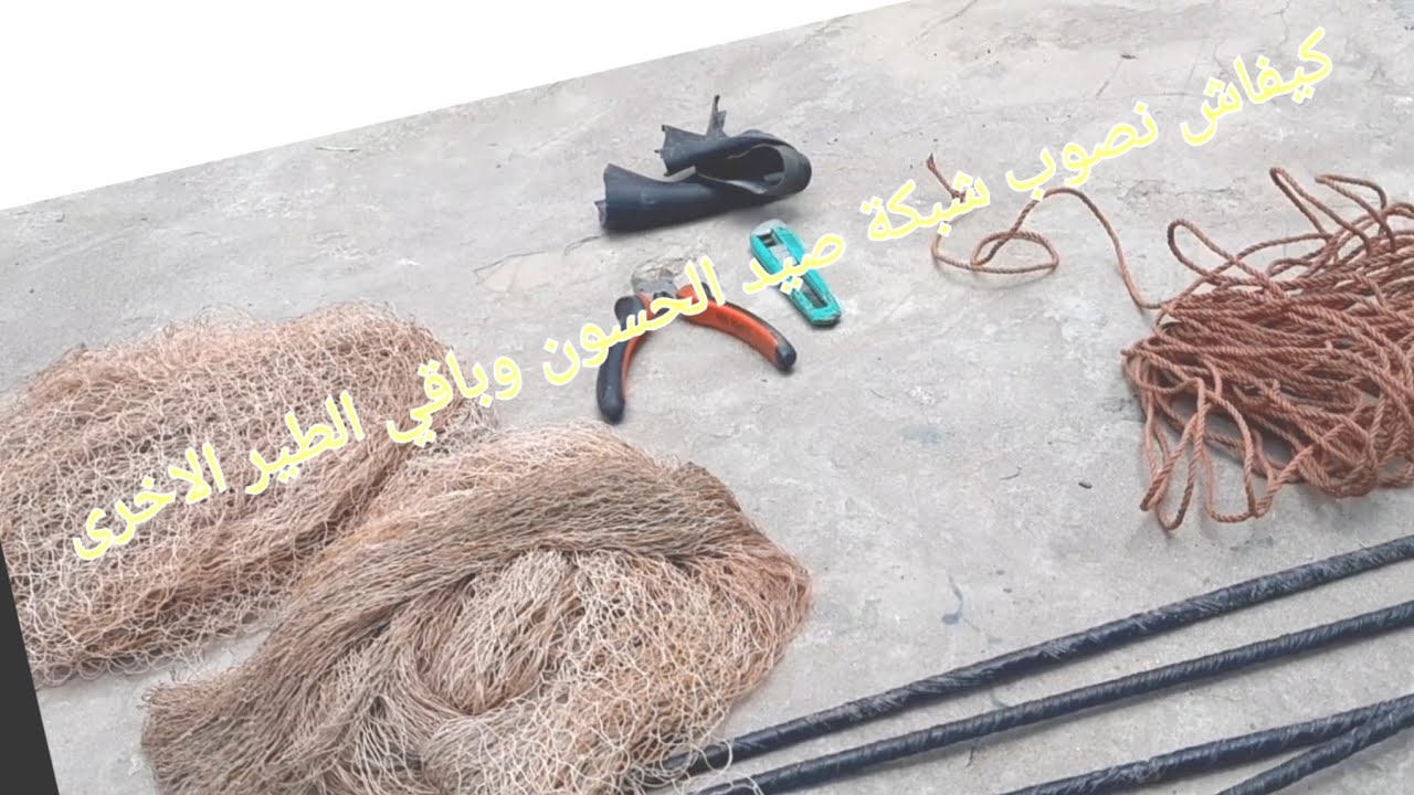 كيفاش نصوب شبكة صيد الحسون من الاول🕸🕸🕸🕸montage red pequeña para caza de pàjaros
