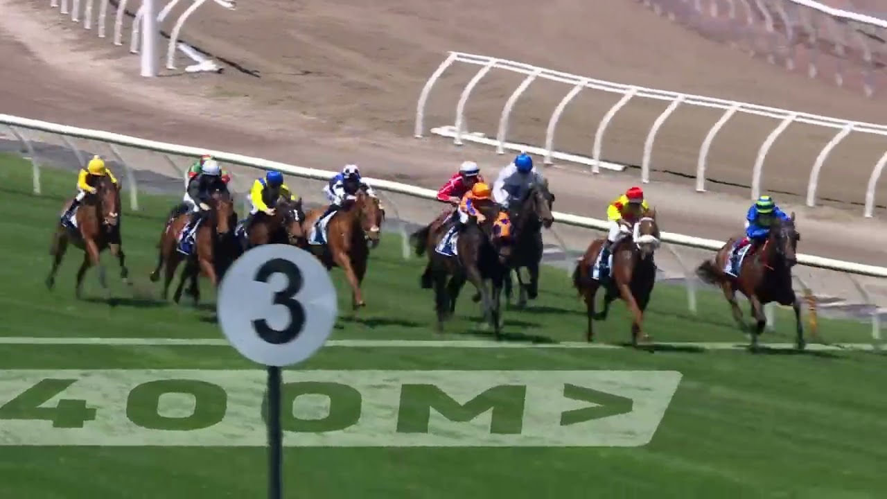 Melbourne Cup Day (Furphy) Plate 2024 - ARRAN BAY (Hcp LR) Listed Flemington 5 November