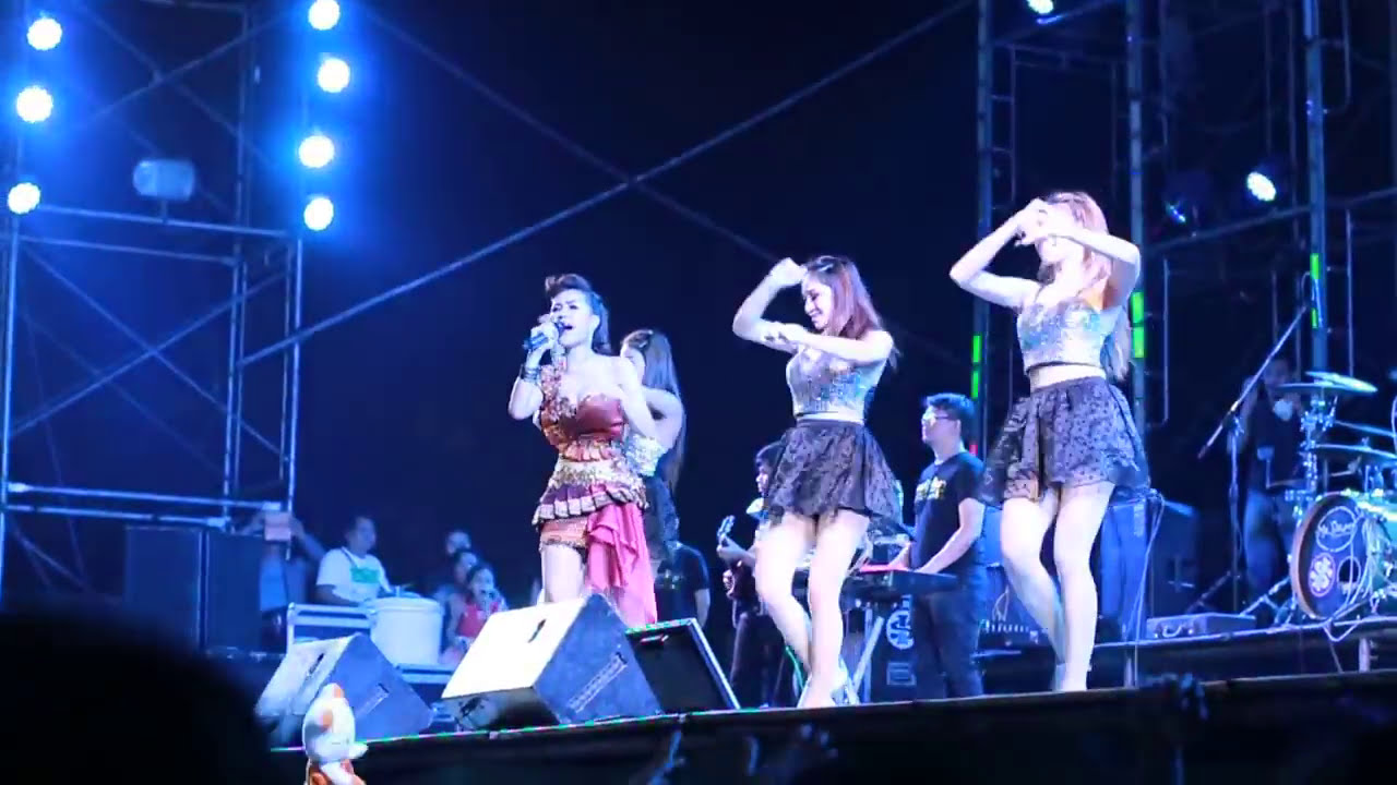 หญิงลี งานย่าโม 2557 (2)