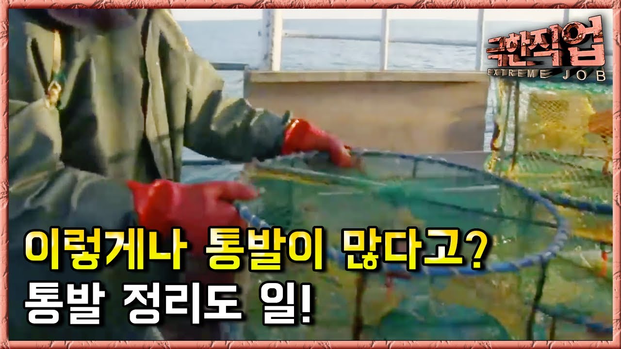 극한직업 - Extreme JOB_서해안 꽃게 잡이_#001