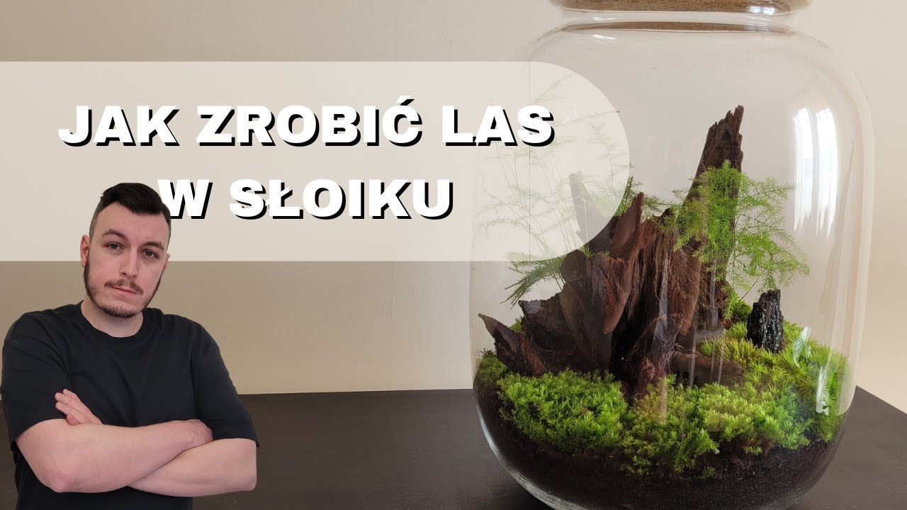 DIY - Jak zrobić las w słoiku