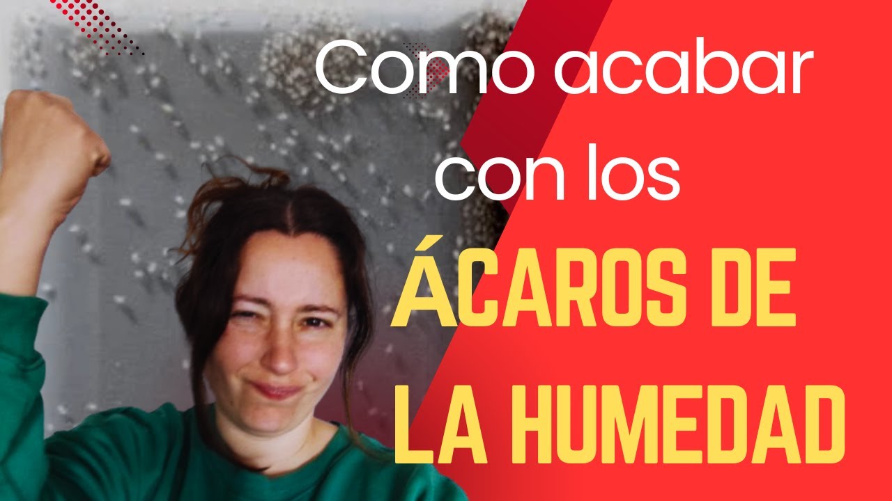 Como acabar con los ácaros de la humedad (bichitos blancos diminutos) elimínalos para siempre