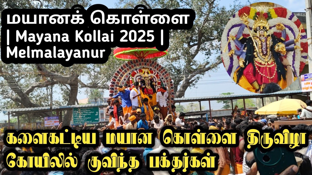 மேல்மலையனூர் மயான கொள்ளையில் திரண்ட பக்தர்கள் | Angalamman Temple | Melmalayanur | Mayana Kollai