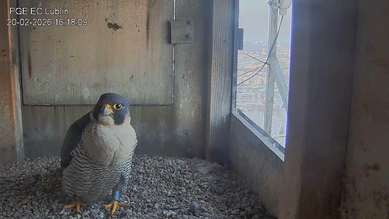 20.02.26 Czajnik ładnie prosi o spotkanie