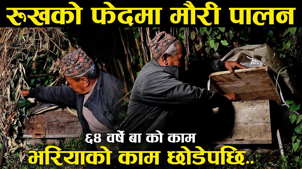भरियाको काम छोडेपछि माहुरी पालन र तरकारी खेतीमा लागेका ६४ वर्षे बा,भन्छन्-उमेर कम भइदिए हुन्थ्यो !