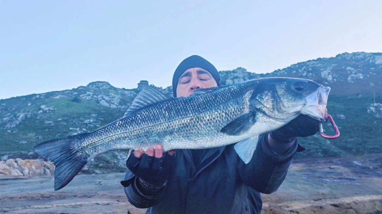 Señuelos de aliexpress para lubina, captura de róbalo 4'900 kg,  Pesca desde costa Cabo Silleiro.