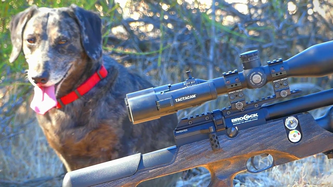 Brocock Sniper XR Magnum Safari LONG TERM