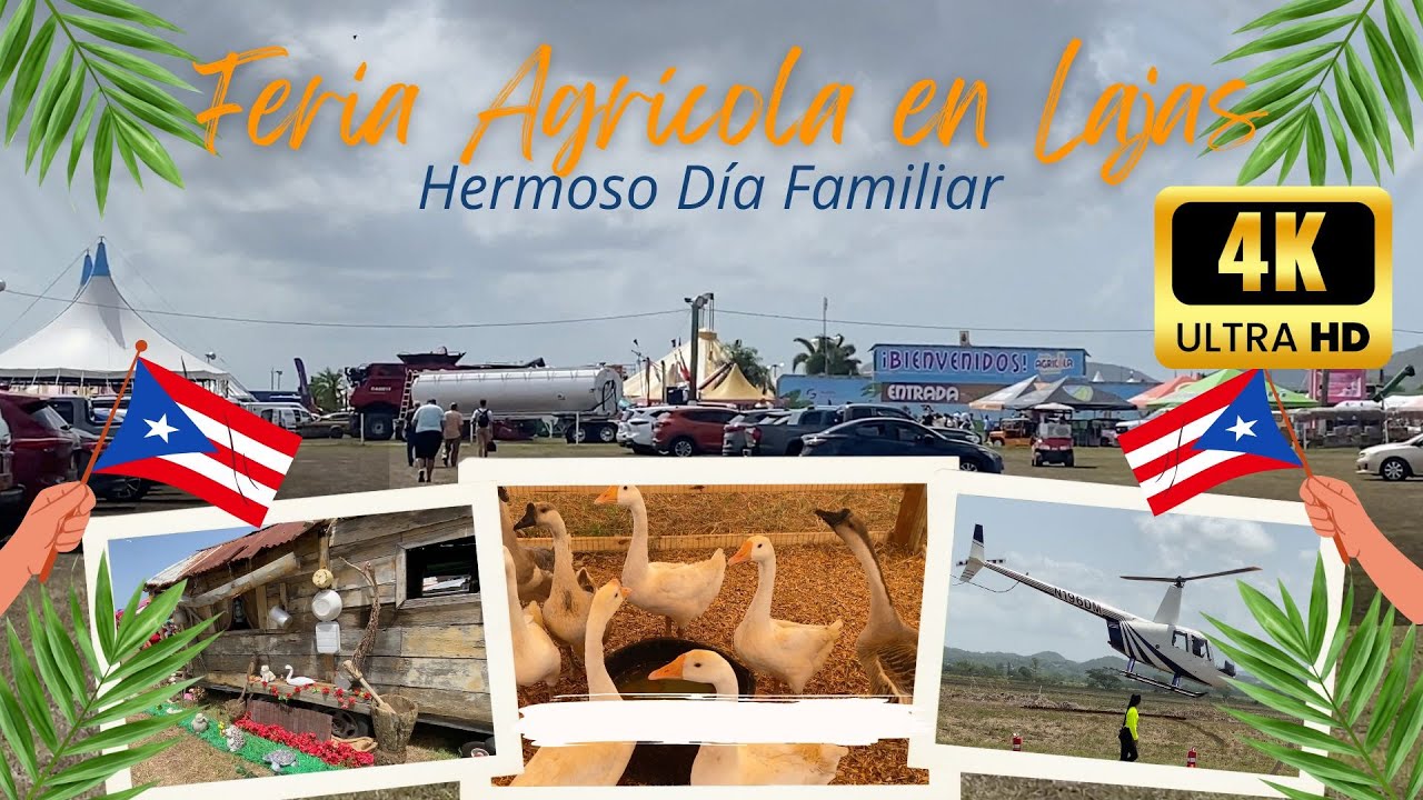 4K FERIA AGRICOLA EN LAJAS PUERTO RICO