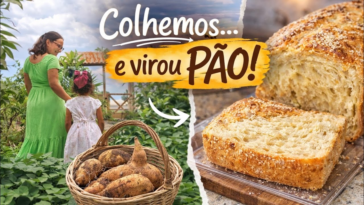 Colhemos no Pomar… e virou PÃO! 🍞🌱