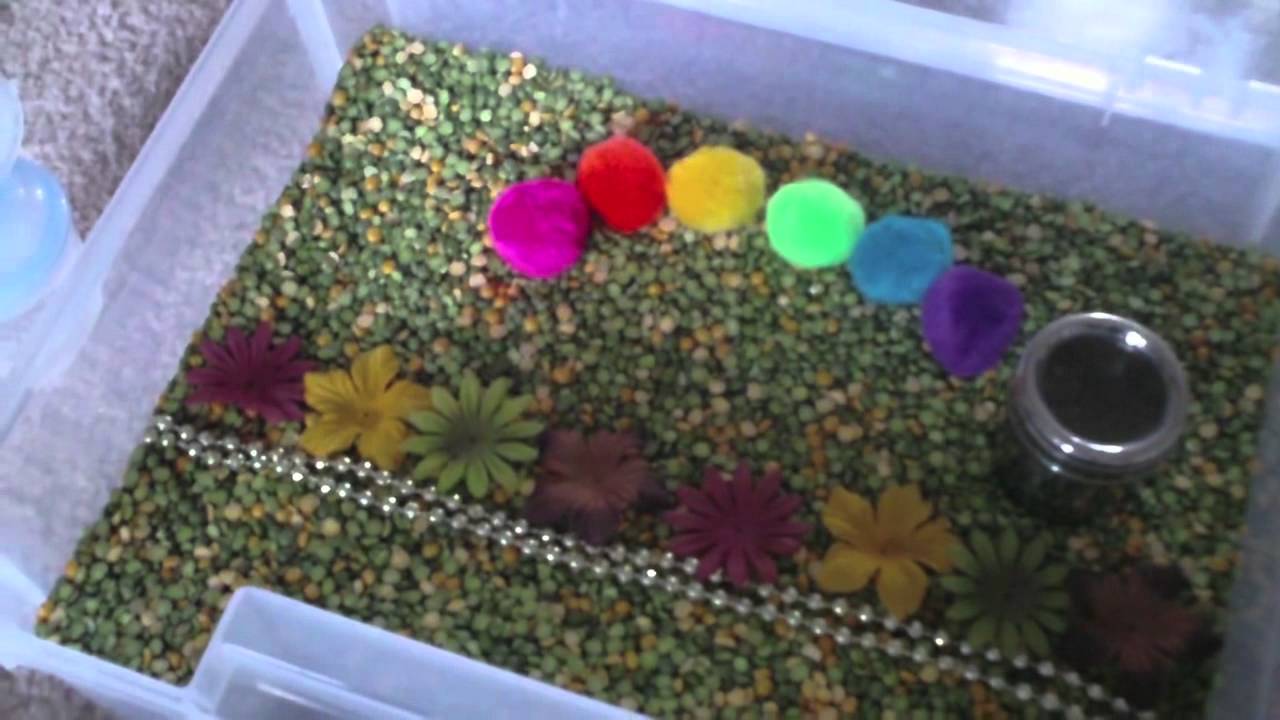 Montessori: March Sensory Box