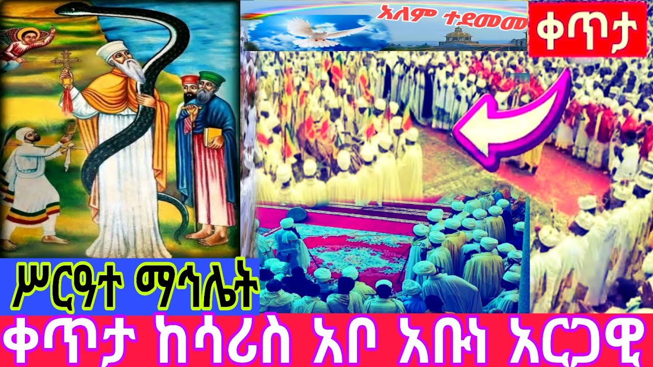 🔴live ሥርዓተ ማኅሌት ተጀመር 👉ቀጥታ ከሳሪስ አቦ አቡነ አርጋዊ ቤተክርስቲያን#የአለም ሚዲያ#ኦርቶዶክስ ተዋህዶ #ለዘላለም #ትኑር#ማኅሌት#ኪዳን#ወንጌል#