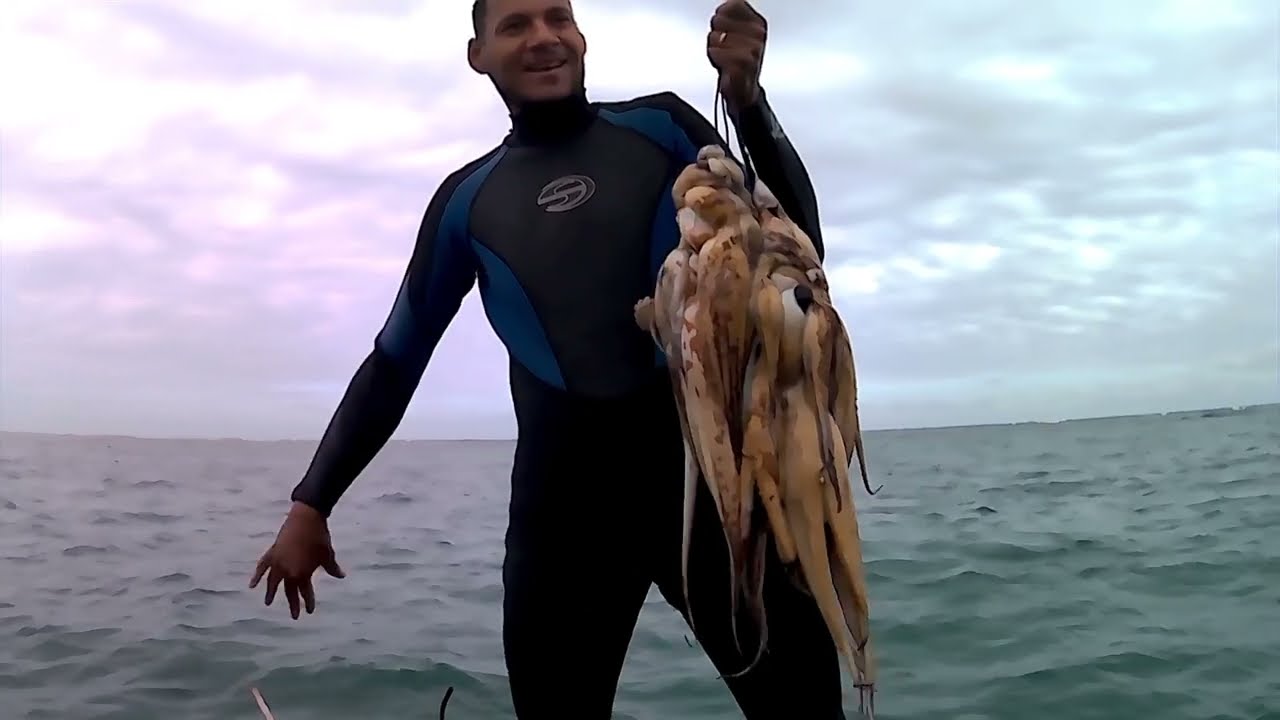 PESCO HÁ ANOS E ISSO ME DEIXOU EM CHOQUE 😱 POLVOS POR TODO LADO!#polvo #pescaartesanal #fishing