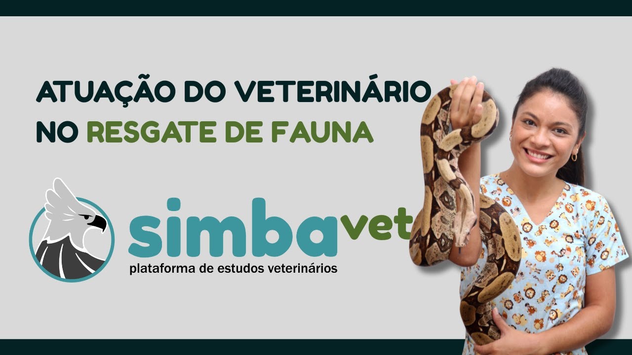 Atuação do Veterinário no Resgate de Fauna