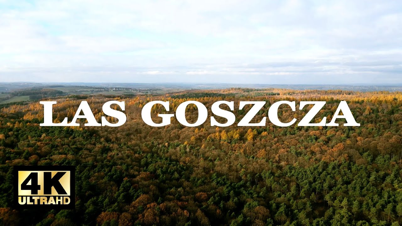Las Goszcza 4K koło Krakowa dron / Goszcza Forest 4K near to Cracow aerial shots / DJi Mavic Air 2