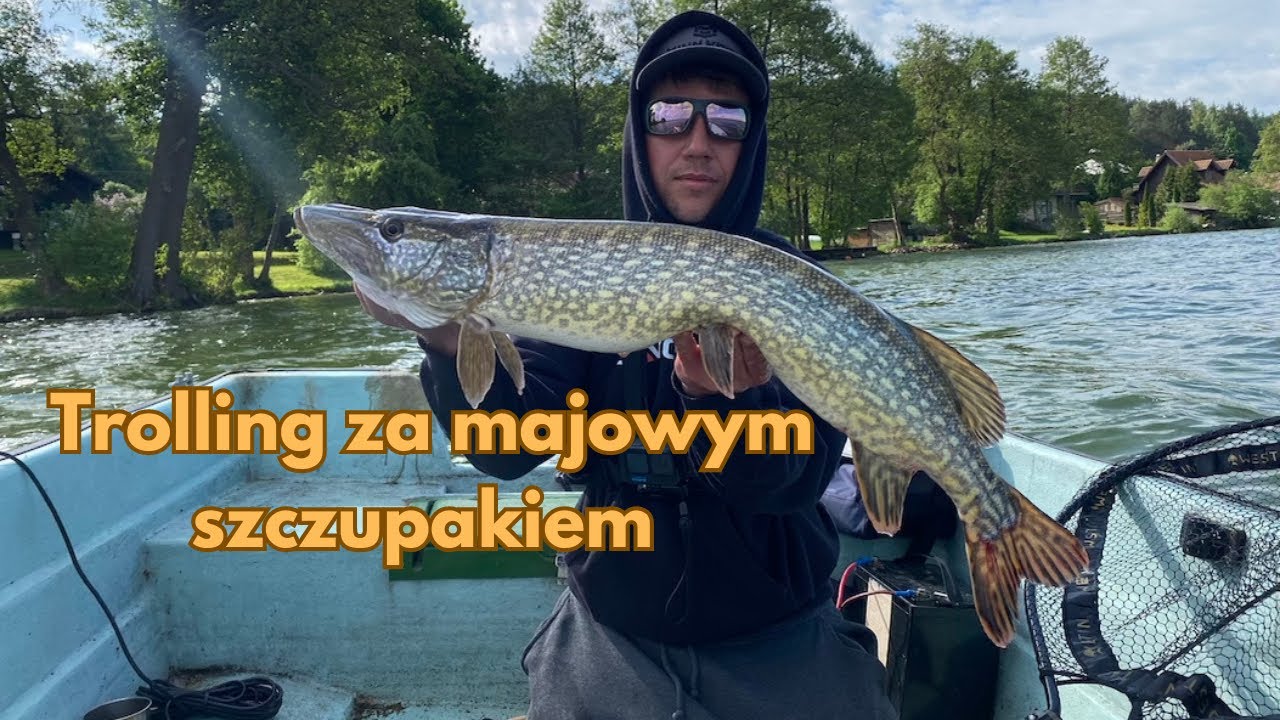 Majowy szczupakowy trolling na dużym jeziorze | 2024