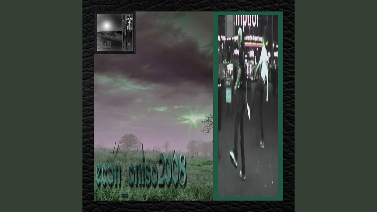 Econ_Oniso2008