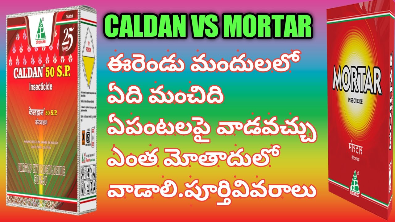 CALDAN ARE MORTAR WHICH IS THE BEST PESTICIDE FOR STEM BORER & LEAF FOLDER @Eruvaaka