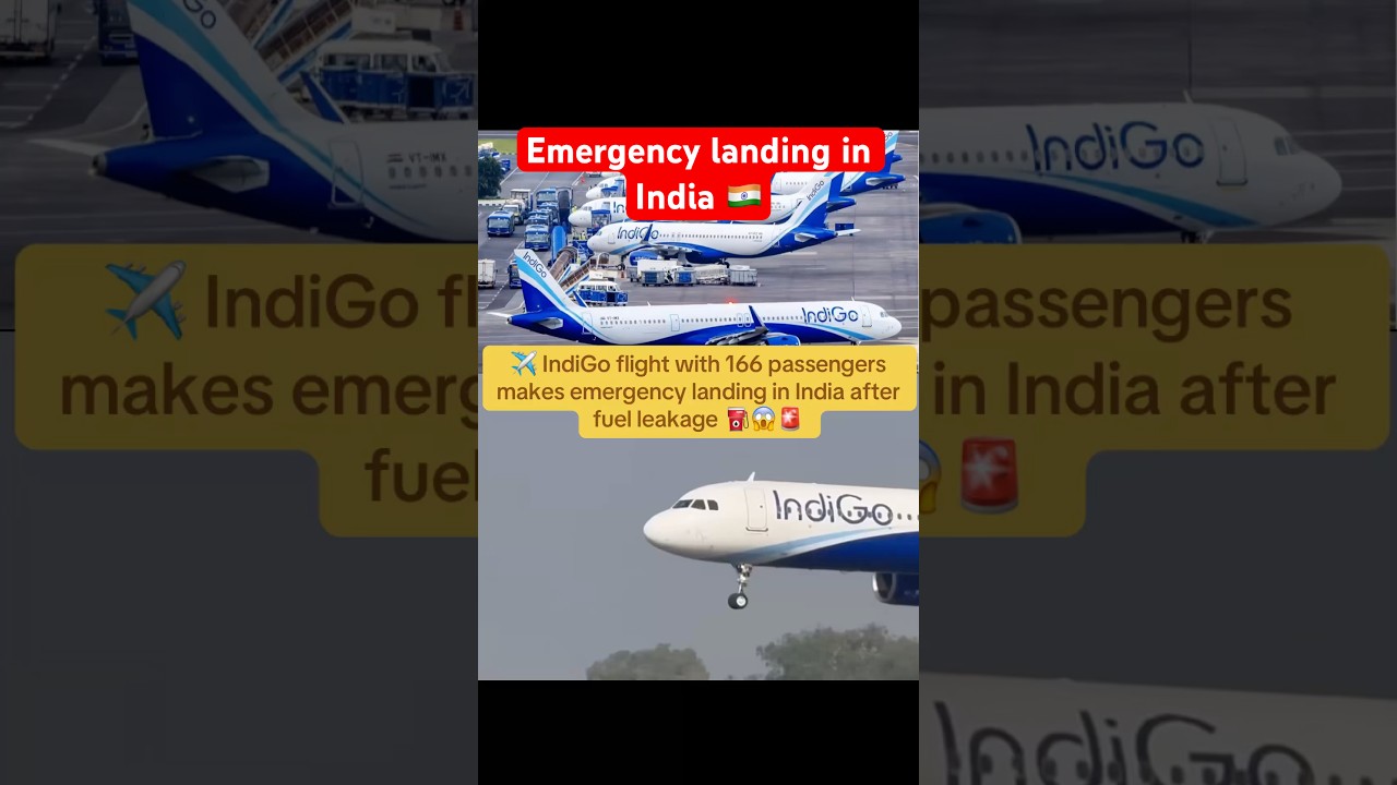 Fuel Scare in the Sky! ✈️😲 