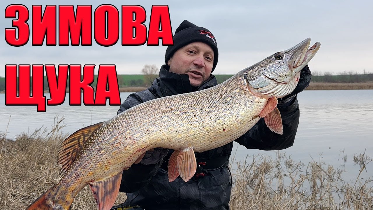 ЖОР ЩУКИ! Піймав САМУ трофейну щуку 2025 крута рибалка!