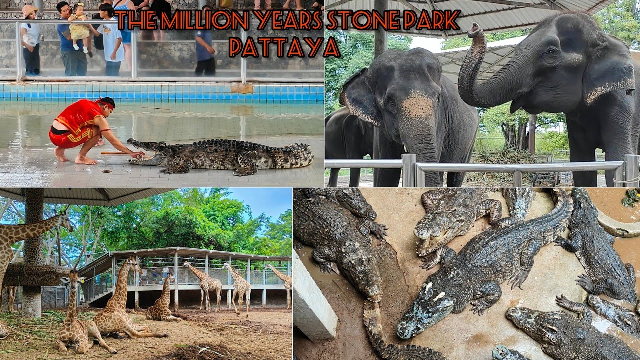 The Million Years Stone Park & Pattaya Crocodile Farm 😍 | Crocodile Show 🐊 | 