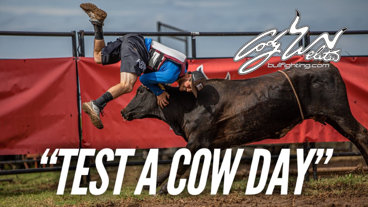 Test A Cow Day” 23 Edition - Behind the Chutes #65