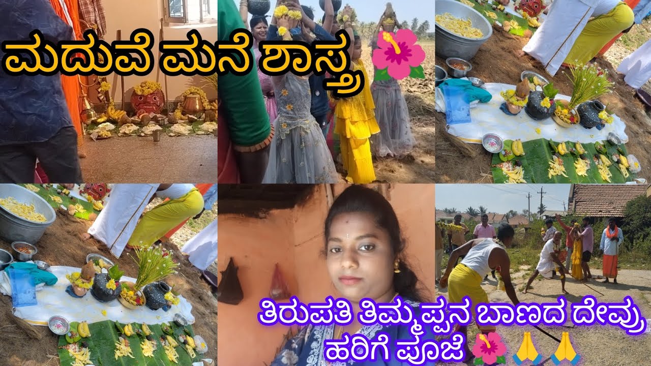ಮದುವೆ ಮನೆ ಶಾಸ್ತ್ರ 🌺✨/ತಿರುಪತಿ ತಿಮ್ಮಪ್ಪನ ಬಾಣದ ದೇವ್ರು ಹರಿಗೆ ದೇವ್ರು ಪೂಜೆ 🙏✨🌺