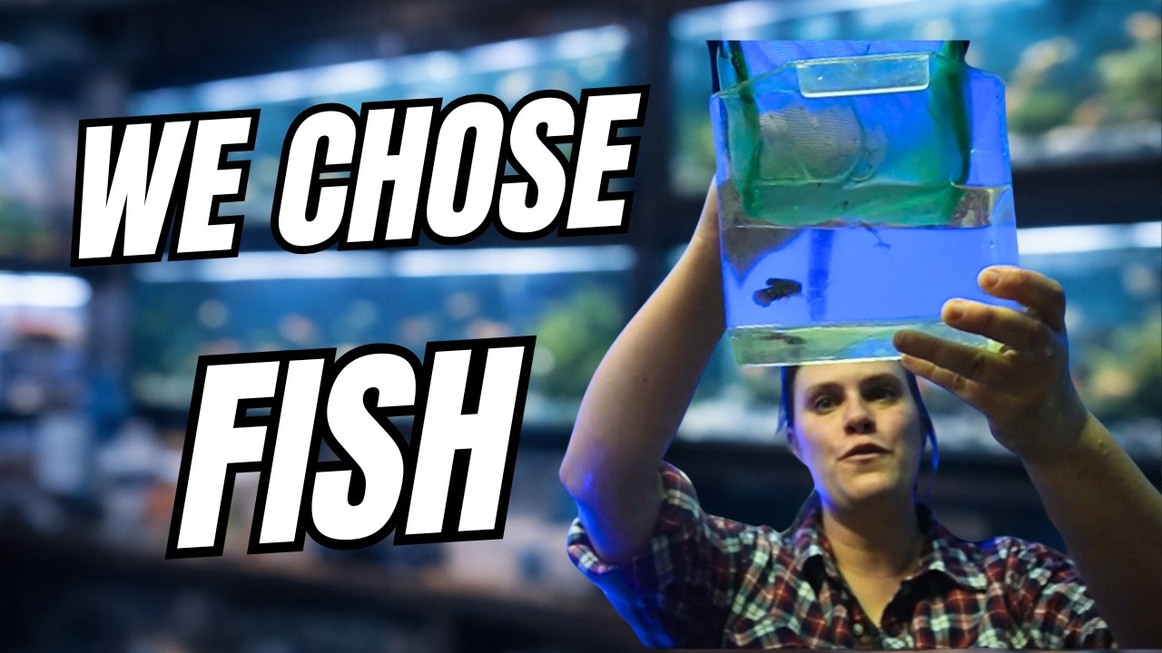 We Went Fish Shopping for Valentine’s Day 😅