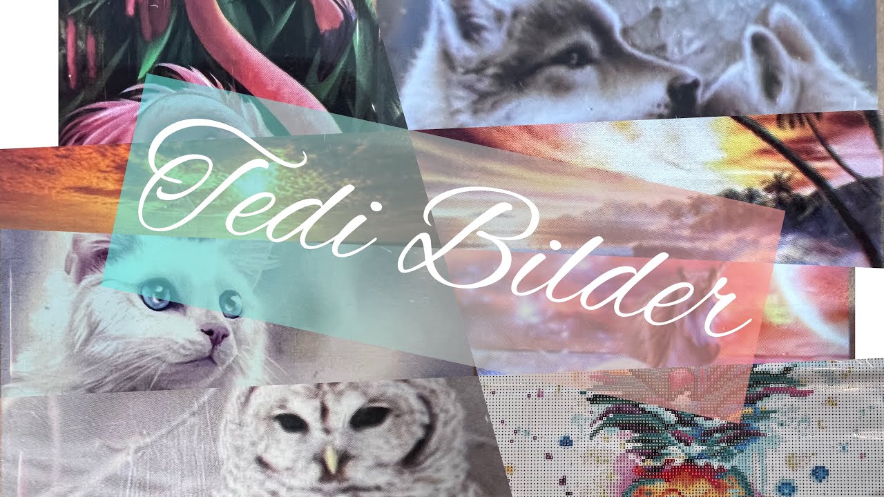 Tedi Bilder Vorstellung #diamondpainting #diy