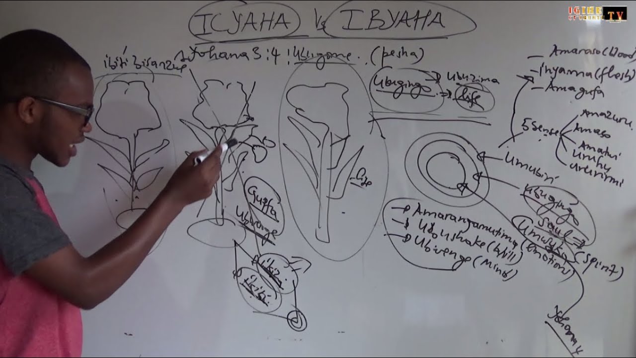 ICYAHA Vs IBYAHA. ESE IGITI ADAM NA EVA BARIYE BIGATUMA BIRUKANWA MURI EDEN,  NI IKIHE?