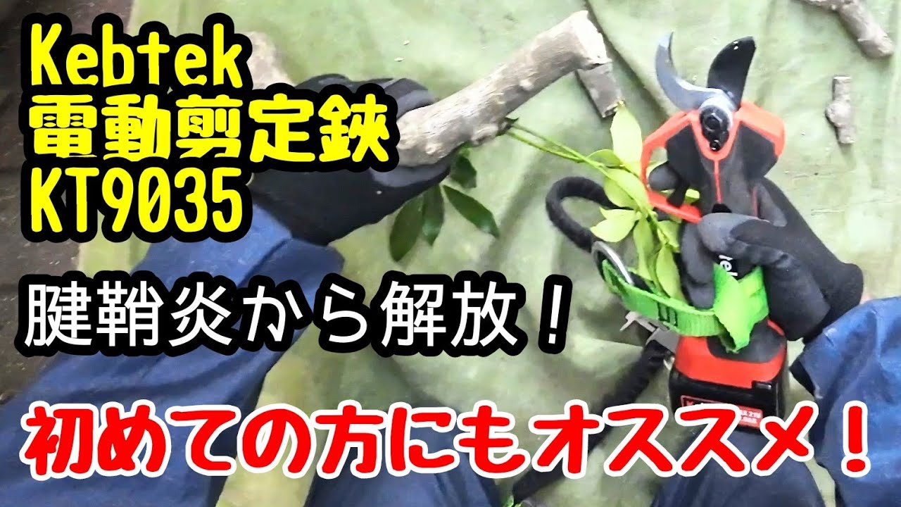 【Kebtek電動剪定鋏】267 切れ味抜群👍庭作業のお供に！