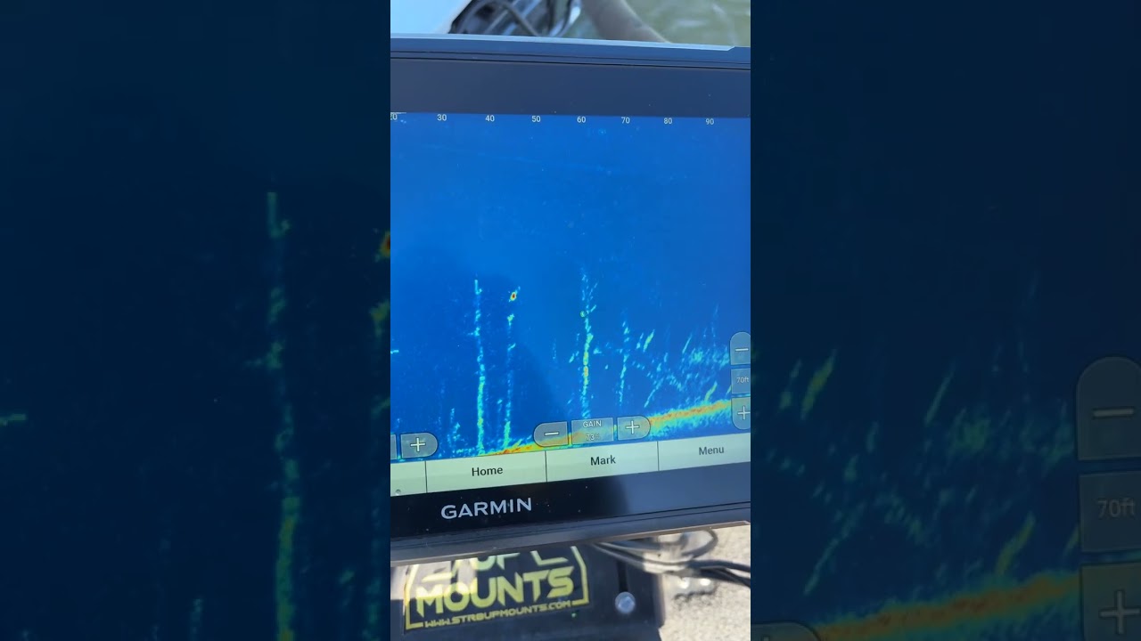 It’s that time of year—putting these timber fish to work with the @strikekinglurecompany Z-Too