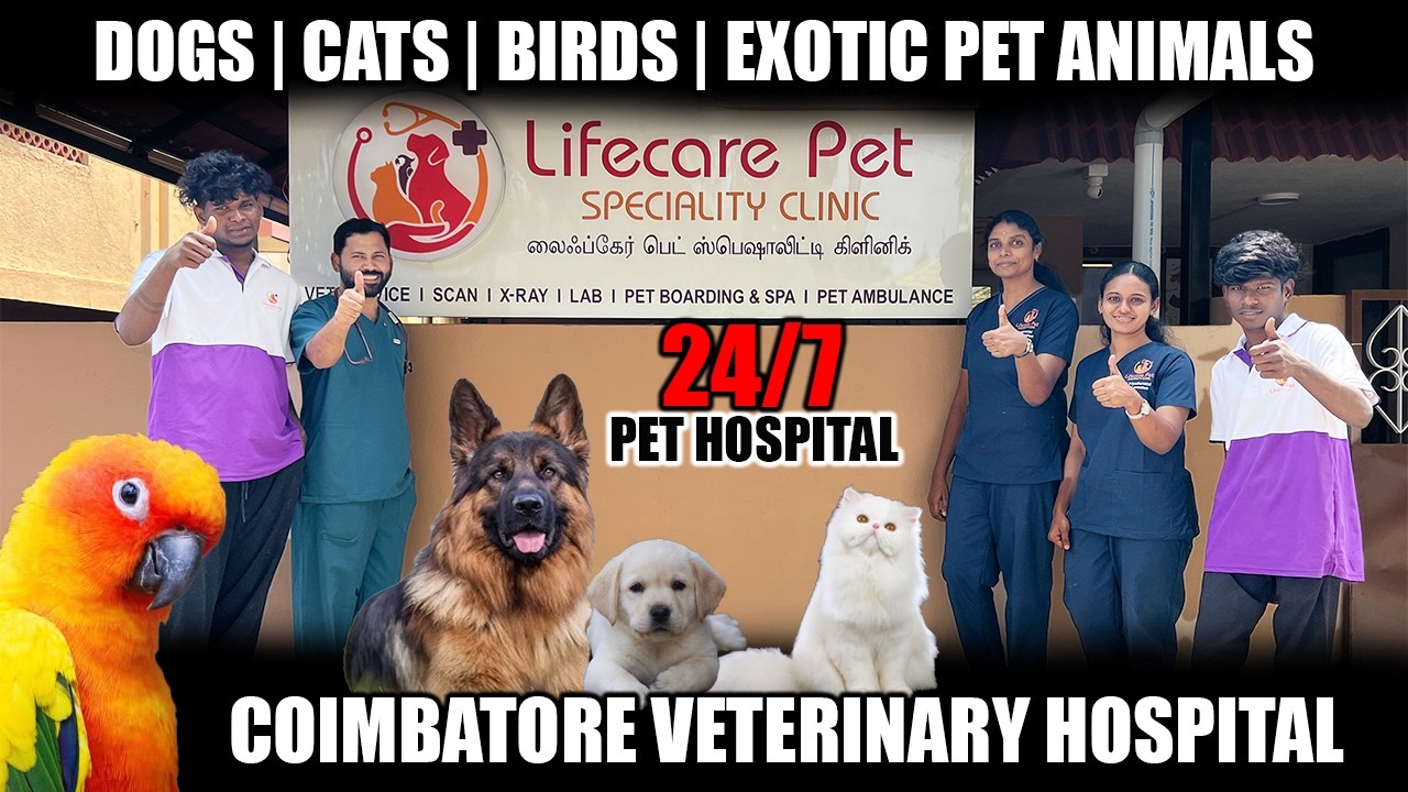Pet Owners Must Watch! Coimbatore Vet Clinic Full Review