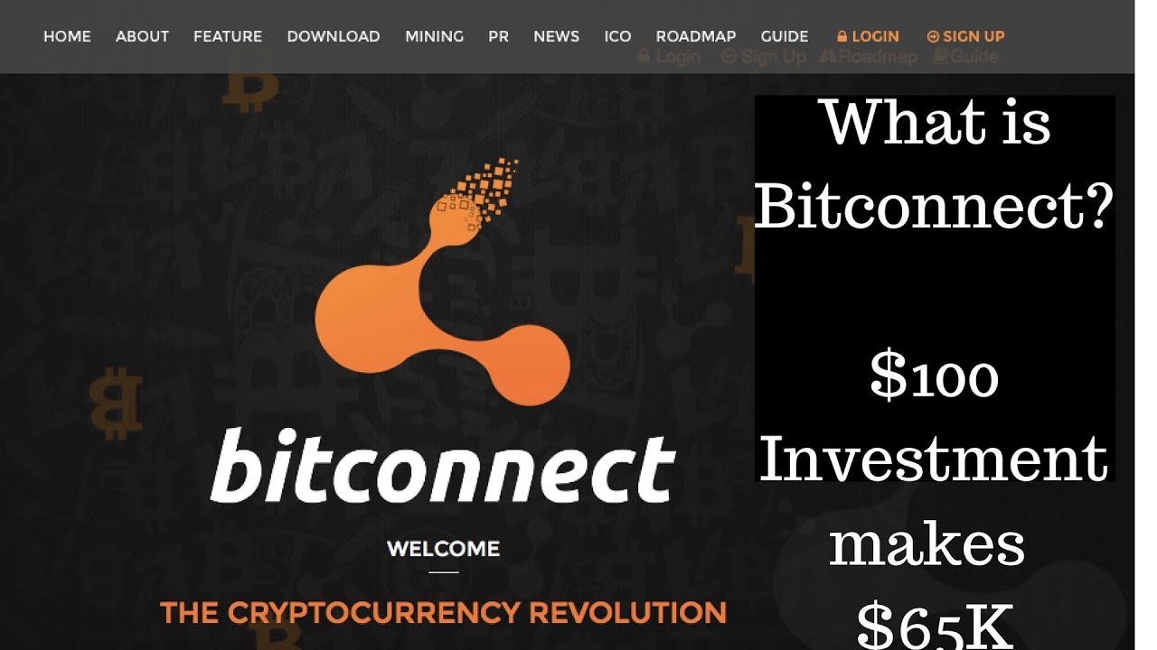 What is Bitconnect? How much can you make with $100?