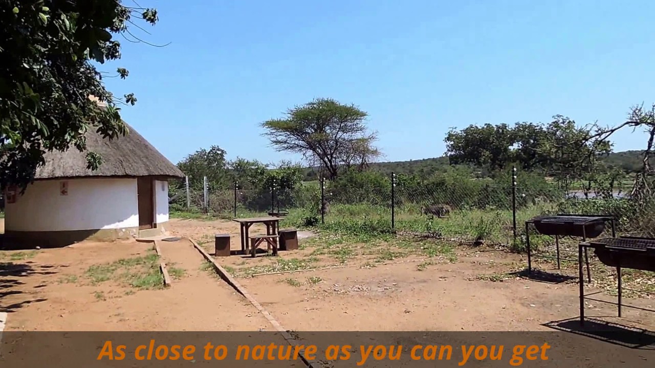 Balule Rest Camp - Kruger National Park