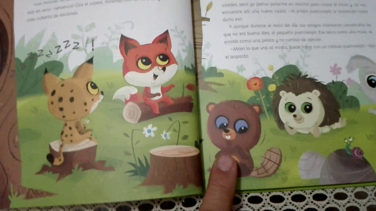 AMIGOS DEL BOSQUE