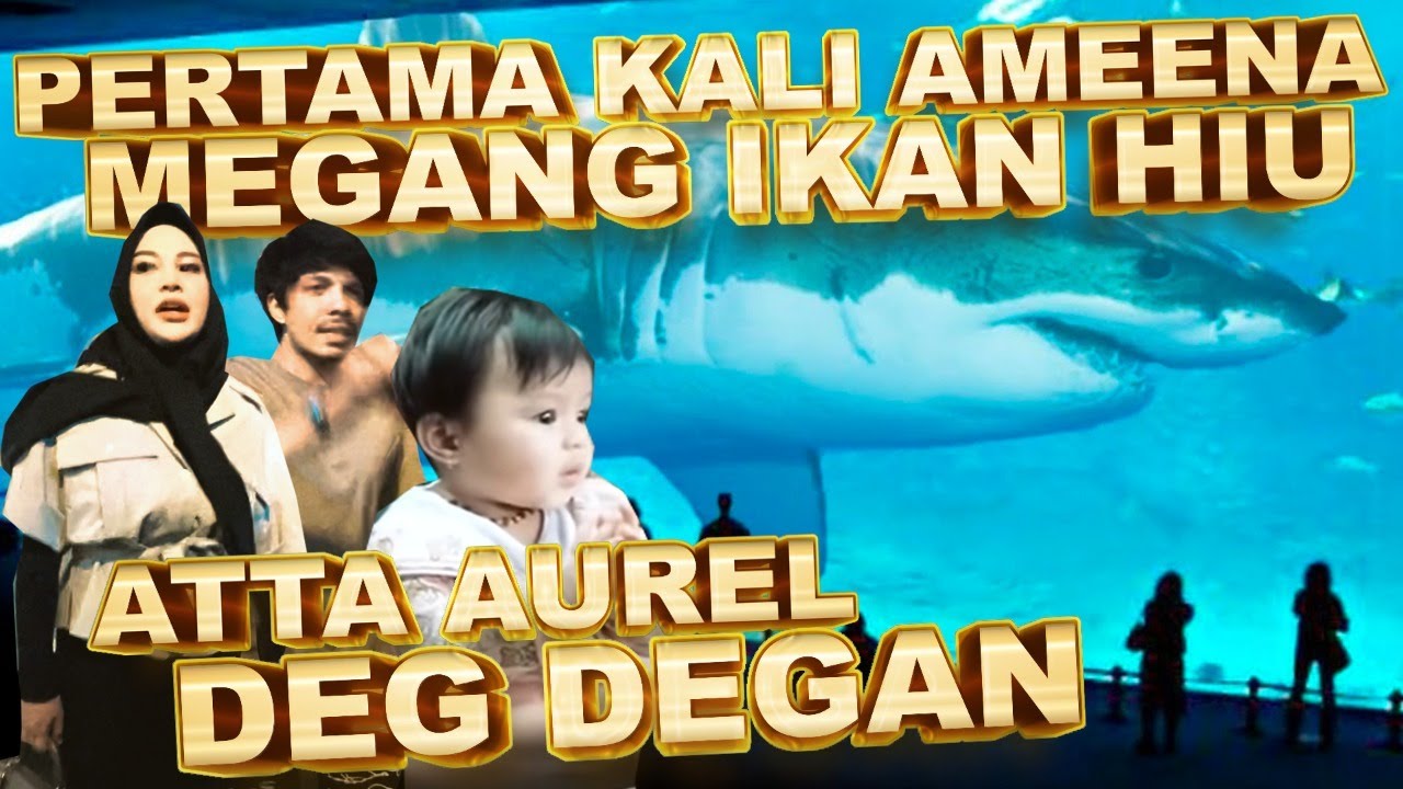 PERTAMA KALI AMEENA MEGANG IKAN HIU!!! ATTA AUREL DEG DEGAN!!