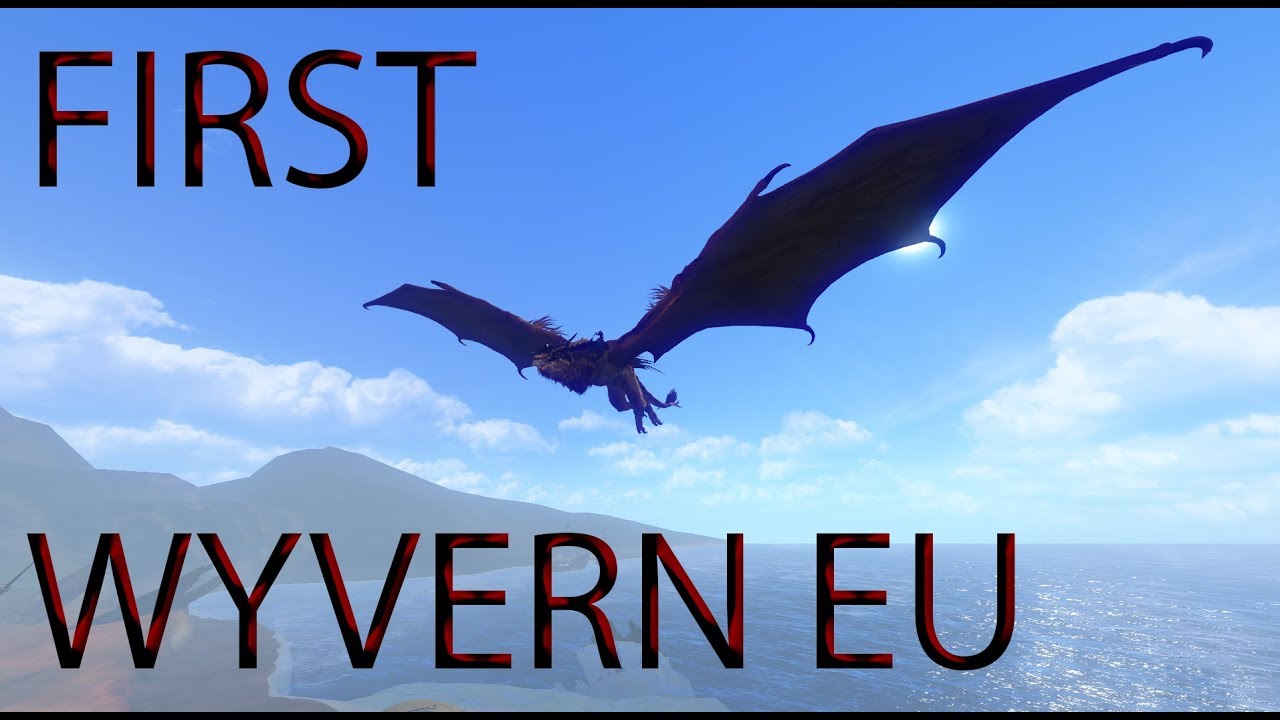 First Wyvern EU - New Age Nation