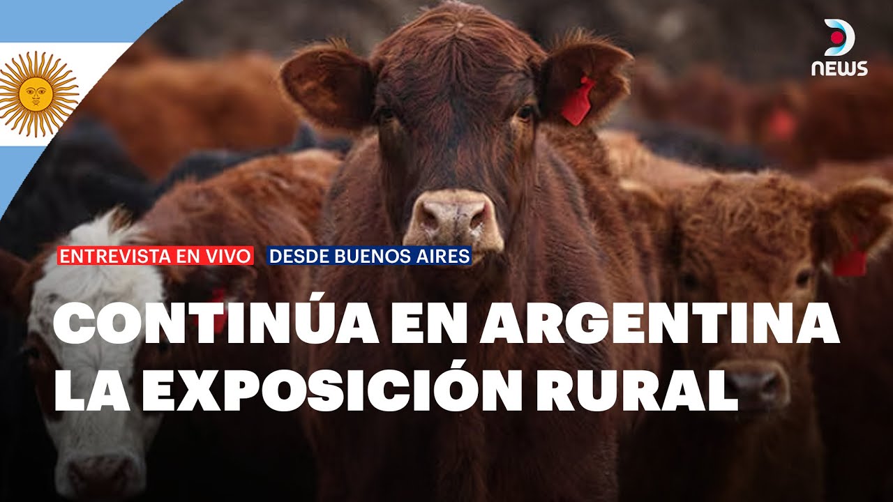 🇦🇷 Expo Rural 2025: Una propuesta que convoca a toda la familia | DNews