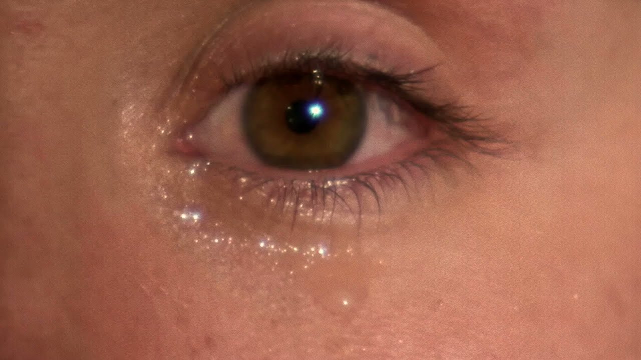 Swimming Paul - Say Something