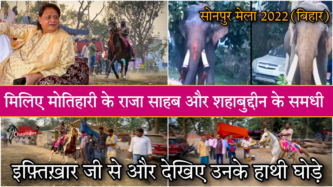 मोतिहारी के राजा साहब और शहाबुद्दीन के समधी इफ़्तिख़ार जी के हाथी घोड़ों से मिलिए Sonepur Mela 2022